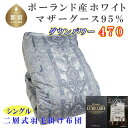 【ふるさと納税】羽毛布団【ポーランド産マザーグース95％】シングル150×210cm二層式SB【ダウンパワー470】羽毛掛け布団