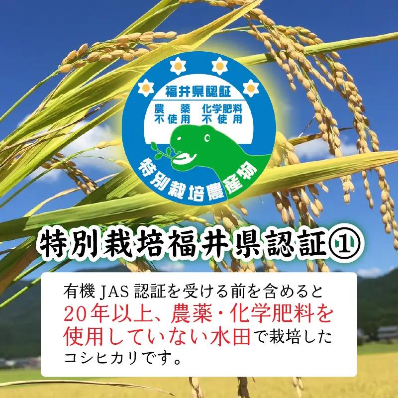 先行予約 オーガニック コシヒカリ 令和8年産 有機JAS 玄米 5kg オーガニック