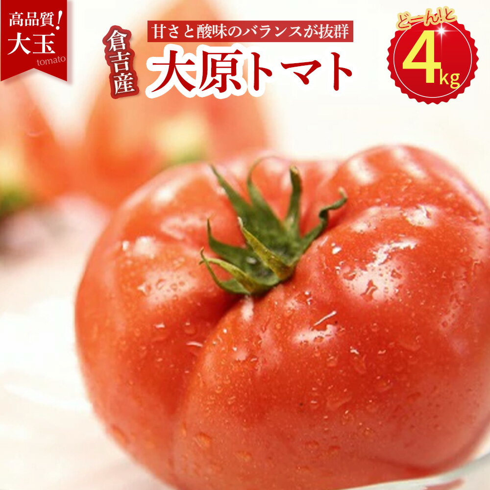 【ふるさと納税】大原トマト 4kg【倉吉産】 トマト 甘い 人気 トマト4キロ とまと 野菜 サラダ 鳥取県 倉吉市