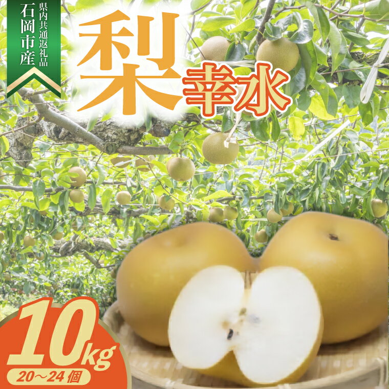 【ふるさと納税】【2025年8月より順次発送予定】幸水　10kg　20〜24個(県内共通返礼品:石岡市産)【配送不可地域：離島・沖縄県】 (BR050)