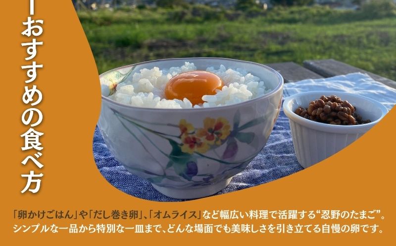 【定期便】忍野の平飼い放牧卵　12か月連続定期便（毎月30個×12か月　合計360個）||　　鶏卵　都留　忍野　新鮮　こだわり　名水　卵　たまご　玉子　タマゴ　大容量　お得　おしののたまご　濃厚　平飼