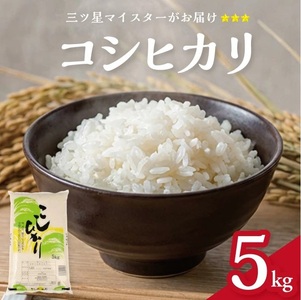 SA2851　令和7年産【精米】庄内産 コシヒカリ　5kg(5kg×1袋) SA