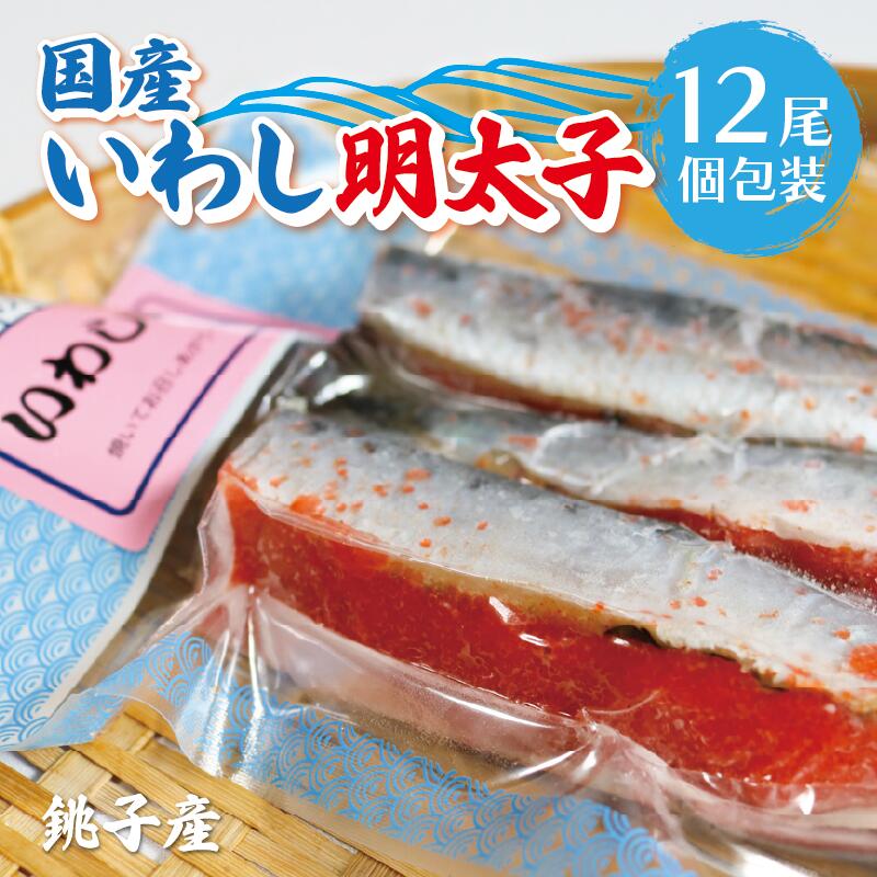 【ふるさと納税】 いわし明太子 12尾 （3尾入×4袋）銚子 イワシ 明太子 めんたいこ 魚 真いわし いわし おかず 地魚 真空パック 新鮮 おつまみ 肴 ギフト お歳暮 プレゼント 長期保存 グルメ 銚子 千葉 銚子たかね