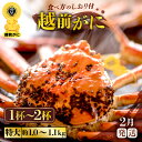 【ふるさと納税】≪浜茹で≫越前がに 特大サイズ （生で1杯約1.0～1.1kg）食べ応え十分 食べ方しおり付き 【選べる杯数！1～2杯】【雄 ズワイガニ 越前ガニ 姿 ボイル 冷蔵 かに カニ 蟹 福井県】【2月発送分】希望日指定可 備考欄に希望日をご記入ください