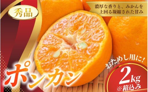 秀品 ポンカン 2kg 【S~2Lのサイズおまかせ】【2026年10月中旬から1月下旬頃に順次発送】＜味好農園＞/ ぽんかん 蜜柑 みかん 柑橘 果物 フルーツ 【agy008-p-2】