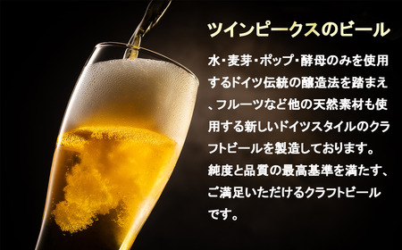 Twin Peaks Mountain Brewingのクラフトビールおまかせ6本セット【つくば市 ふるさと納税 クラフトビール ビール お酒 酒 麦酒 麦芽 ホップ ドイツ ドイツビール】