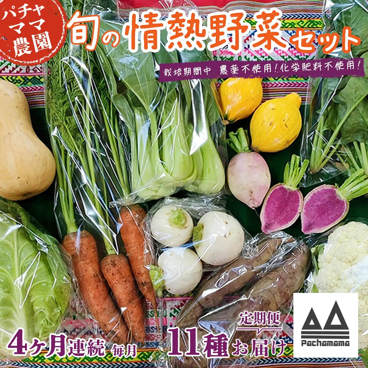 野菜 無農薬 農園自慢の情熱野菜セット 11種 【 4ヶ月 連続 お届け 】