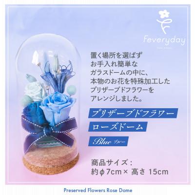 ふるさと納税 佐倉市 プリザーブドフラワーローズドーム ブルー系 お祝いやお誕生日におすすめ