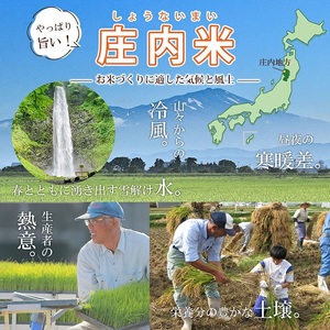 1252R07M11a　無洗米 こつぶ姫 5kg×2袋 計10kg　11月上旬