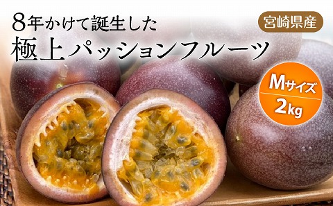 《2025年発送》【期間・数量限定】8年かけて誕生した宮崎県産極上パッションフルーツＭ　2kg