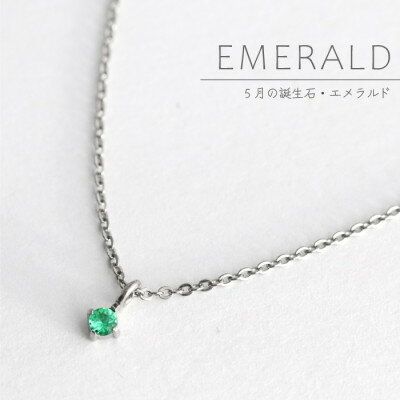 【ふるさと納税】純チタンエメラルドの一粒石ペンダント 誕生石 ネックレス 変色しにくい ギフト 新潟県 弥彦村【配送不可地域：沖縄県】【1289006】