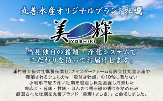 27-13【冷凍・加熱用】鳥羽浦村の凍眠牡蠣 むき身500g x 4袋
