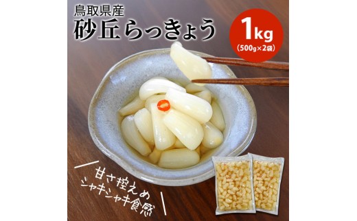 
                  【業務用】鳥取県産砂丘らっきょう　500ｇ×2｜鳥取県産 砂丘らっきょう 漬物 1kg 業務用 加工品 けんちゃん漬 ふるさと納税 出雲市
                
