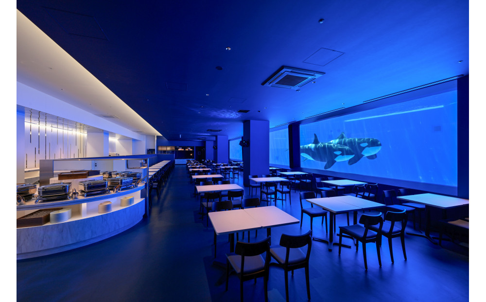 神戸須磨シーワールド入場券　３枚セット（有効期限：2026年3月31日）