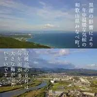 紀州南高梅なごみの夢梅　hjumys004A【hjumys004A】