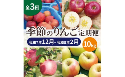 ＜発送月固定定期便＞青森りんご 訳あり 品種おまかせ 10kg 12月～2月全3回【4067595】