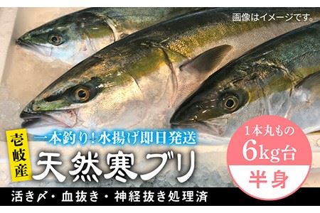 【1/16?3月末お届け】壱岐島産天然寒ブリ（一本丸ものサイズ6キロ台の半身ブロック） 《壱岐市》【壱岐島　玄海屋】[JBS008] ぶり 寒ぶり ブリ 魚 刺身 しゃぶしゃぶ 45000 45000円 のし プレゼント ギフト 冷蔵配送 九州