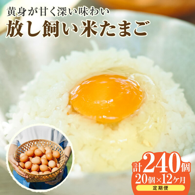 【ふるさと納税】【12ヵ月定期便】放し飼い 米たまご 15個+5個保証【計20個】 農家直送 赤たまご 新鮮 卵 純植物性飼料 飼料にこだわった 卵かけご飯 卵 定期便 12回 送料無料
