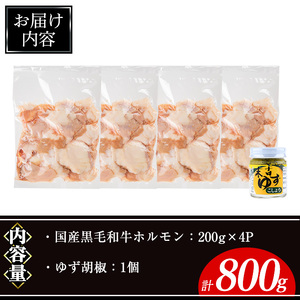 国産 黒毛和牛 ホルモン 計800g(200g×4P)&ゆず胡椒(1個) 牛肉 【ナンチク】A996