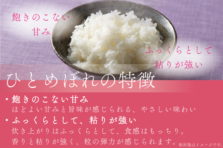AD020　★令和5年産★ひとめぼれ10kg（5kg×2袋）岩手県紫波町産【特別栽培米】