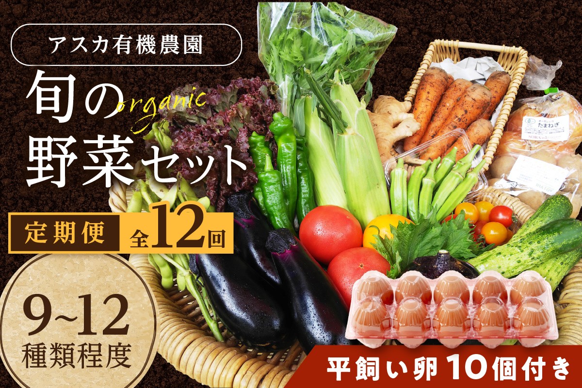 
                  野菜 定期便 12回（卵付き）【アスカ有機農園】京の旬野菜セットL平飼い卵付き（栽培期間中農薬・化学肥料不使用）＜京都 オーガニック アクション加盟＞京野菜セット・野菜 詰め合わせ・玉子付き・京都 定期便・野菜 定期　AY00011
                