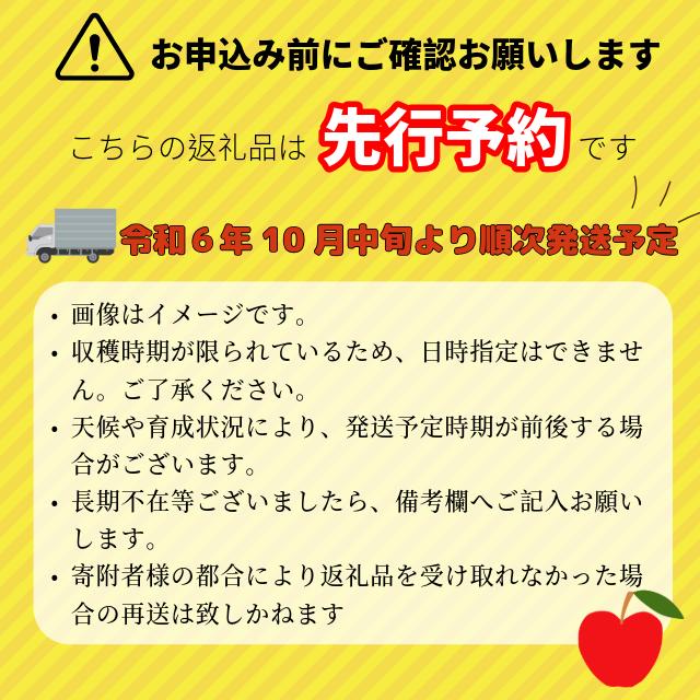 【先行予約】シナノスイート　約10kg（24-36玉） (B-2.55) シナノスイート約10ｋｇ