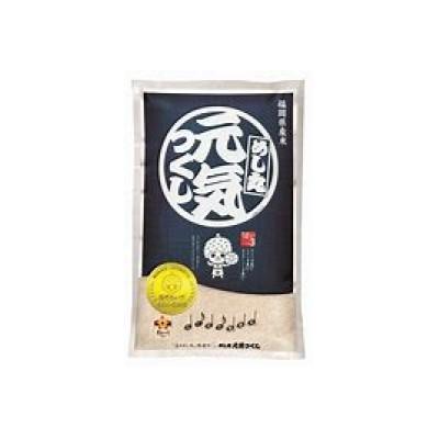ふるさと納税 福岡市 福岡県産めし丸元気つくし　10kg JU02