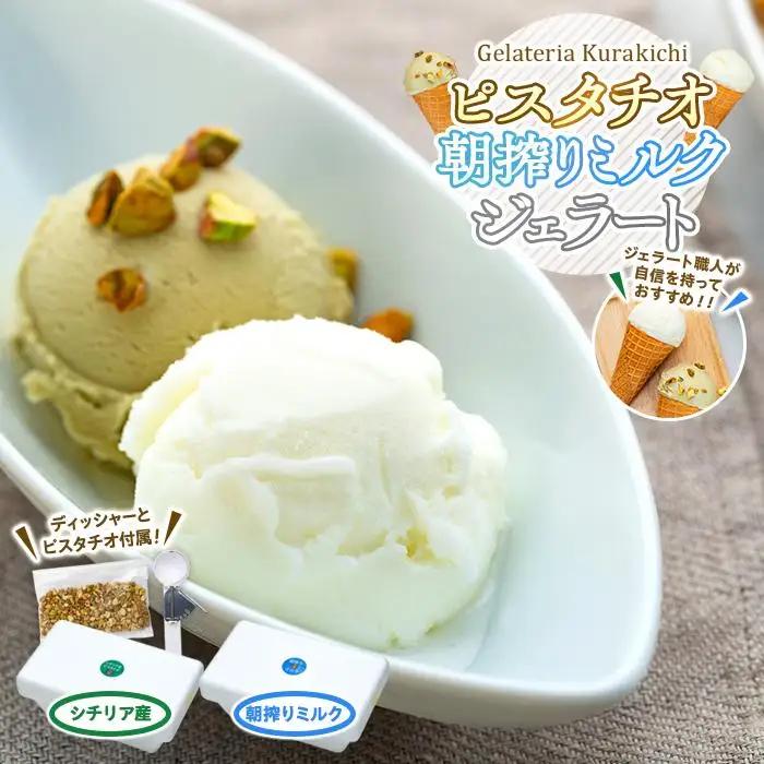 【数量限定】ジェラート食べ比べ  シチリア産 ピスタチオ 朝搾りミルク（500ml×2種 ）