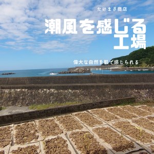 伝統の宗田節納屋　見学＆体験券（1グループ4名）【R00642】