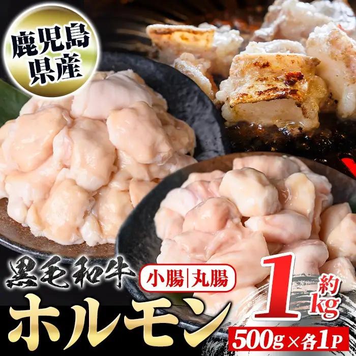 黒毛和牛 ホルモン 牛ホルモン 小腸 丸腸 セット 計約1kg 約500g×各1P もつ鍋 鹿児島県産 国産 真空パック 焼肉【新村畜産】A01038