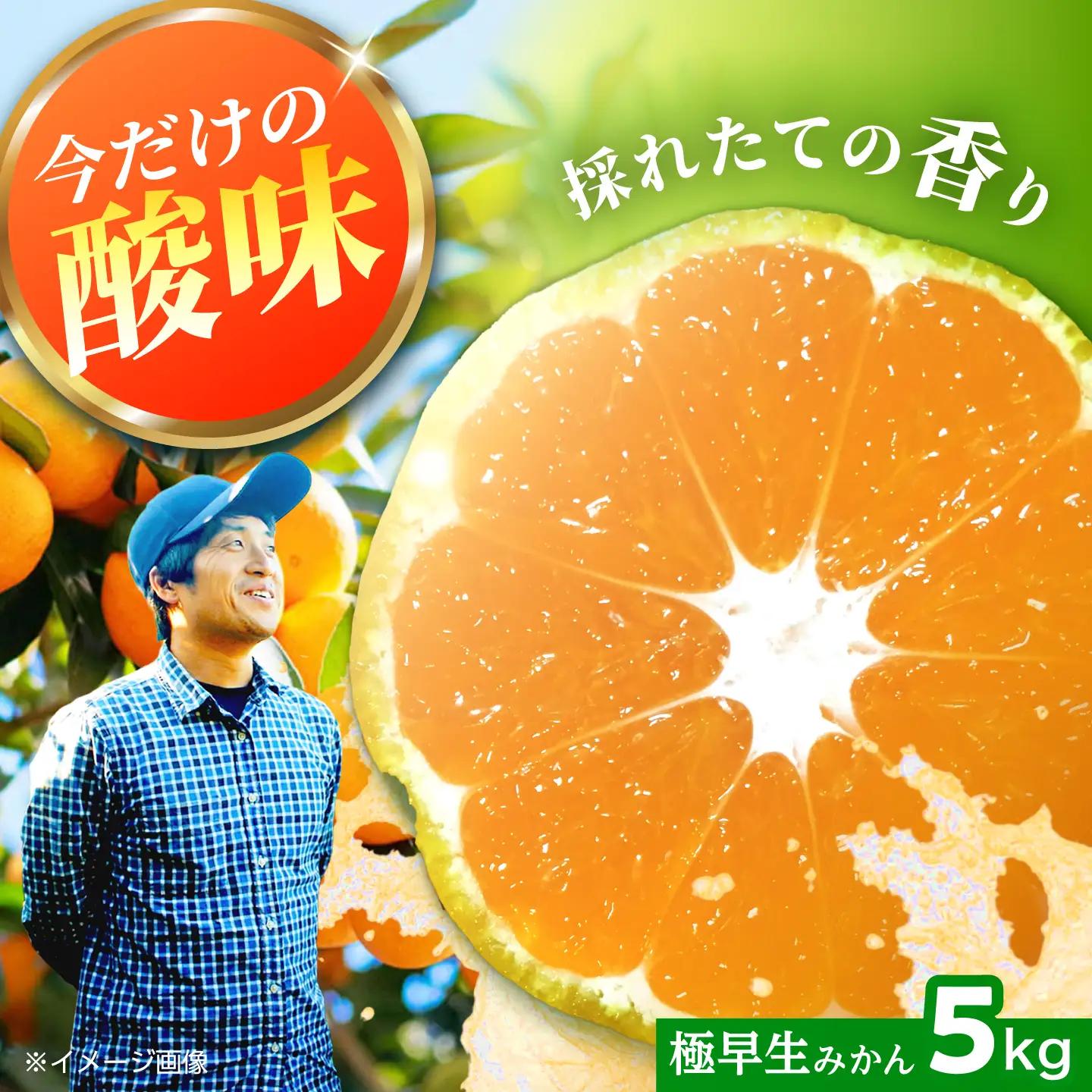  極早生みかん 5kg [CCZ001] みかん