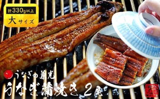 
                  三河一色産 うなぎ 蒲焼《大サイズ》2尾（計330g以上） 国産 鰻 愛知・U023-13
                