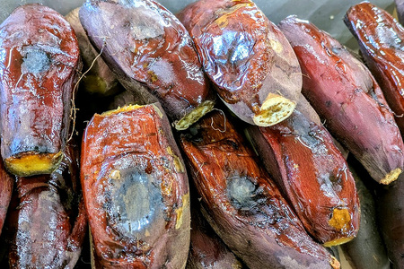 2025年12月発送 先行予約 干し芋工房 風と太陽の小芋焼き芋 1.8kg しっとり甘い おいも いも 芋 茨城県産 国産 無添加 和菓子 お菓子 おやつ スイーツ お取り寄せ さつまいも