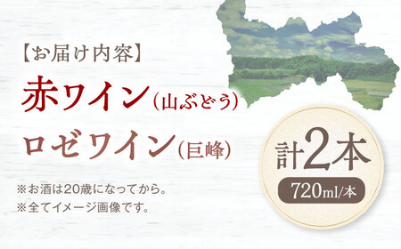 赤(山ぶどう)+ロゼ(巨峰) 1本約720ml 各1本 計1440ml BKAG004 ワイン