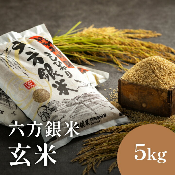 【ふるさと納税】令和7年産 減農薬米 特別栽培米 六方銀米 コシヒカリ 玄米 5kg / 減農薬 玄米 新米 お米 5キロ 白米 コウノトリ米 コメ こめ ご飯 ライス こしひかり 兵庫県産