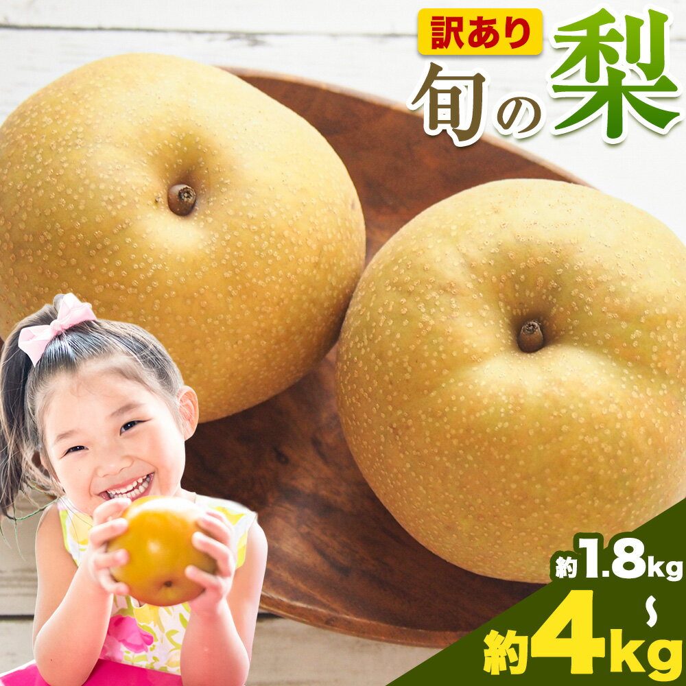 【ふるさと納税】【先行予約】訳あり 旬の梨 約1.8kg 2~6玉前後 約4kg 3～10玉前後 岡山県産 梨 訳あり 新高 愛宕 王秋梨 鴨梨 岡山 笠岡市《9月上旬-1月末頃に出荷予定》数量限定 梨 なし ナシ