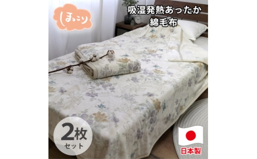 【シングル2枚組】『ほっ』とするやさしい暖かさの綿毛布  SH-36901S-2P【1644244】