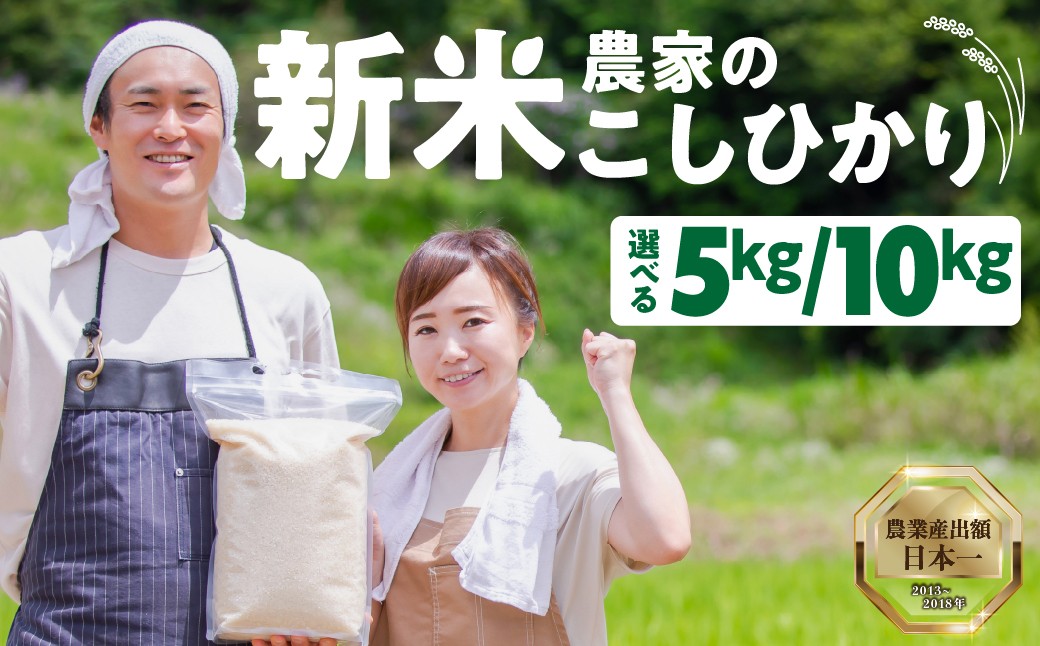 
            数量限定 13000円 新米農家のこしひかり 5kg 10kg 選べる お米 おこめ 米 コメ ごはん コシヒカリ ご飯 ブランド米 精米 令和7年 6か月 令和6年産 売り切れ 米 備蓄米 よりおいしい 愛知県 田原市 渥美半島 人気 先行予約 令和7年産 13000円 KASUKEN
          