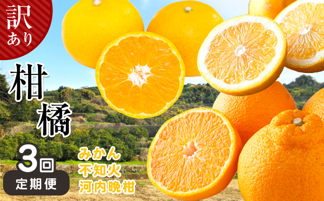
                  【 定期便 3回 】 訳あり 柑橘類 みかん 不知火 河内晩柑 | フルーツ 果物 くだもの 柑橘 ミカン しらぬい 晩柑 熊本県 玉名市
                