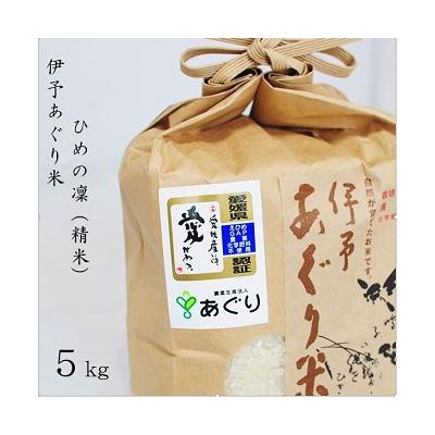 ふるさと納税 松前町 ★令和7年産発送★　伊予あぐり米「ひめの凜」(精米5kg)