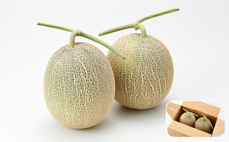 【先行予約】 北海道産青肉メロン1.6kg×2玉 (2026年7月中旬から発送予定)  | メロン_05291