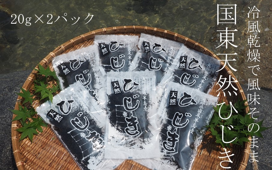 天然ミネラル豊富!山盛り国東天然ひじき 20g×2パック_1098R-1