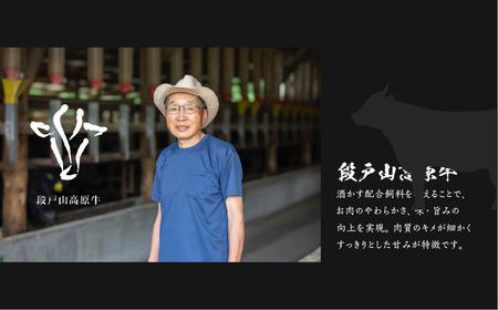 段戸山高原牛の肉トロ 計180g (60g×3パック) 肉トロ フレーク（段戸山高原牛）
