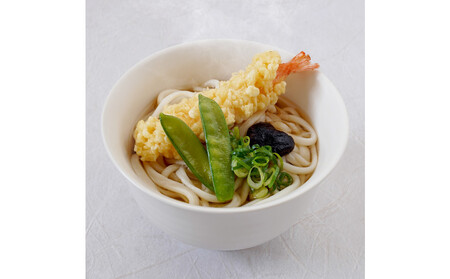 さぬき小豆島　手延冷凍調理うどん6種 12食セット（カレー２/えび天（焼きもち入）２/牛肉２/きつね２/えび天２/かきあげ２）