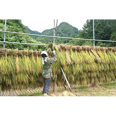 ふるさと納税 阿賀町 黒米のセット(200g×5袋) |  | 03