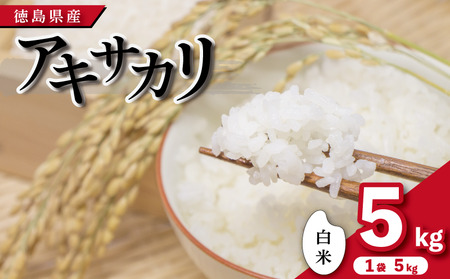 米 白米 5kg （ 5kg × 1袋 ）アキサカリ 令和7年度産 米 米 米
