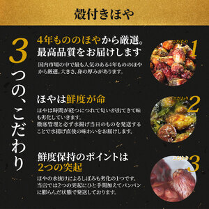 fn-39-019 ＜先行予約受付中！＞ 殻付きほや　ヤマキイチ商店 【5月中旬から7月末頃期間限定 お届け便】