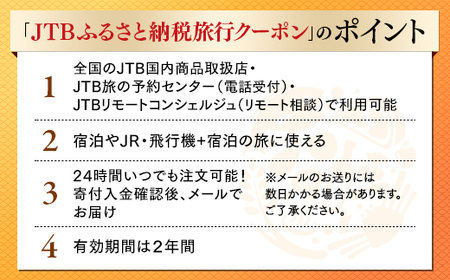 【銀山温泉 尾花沢市】JTBふるさと納税旅行クーポン（30,000円分）【旅行 尾花沢市旅行 旅行クーポン 旅行トラベル 宿泊旅行 銀山温泉旅行】JTB03