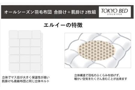 オールシーズン羽毛布団 合掛け＋肌掛け 2枚組「 エルイー 」 ダブルサイズ 東京ベッド社 5866