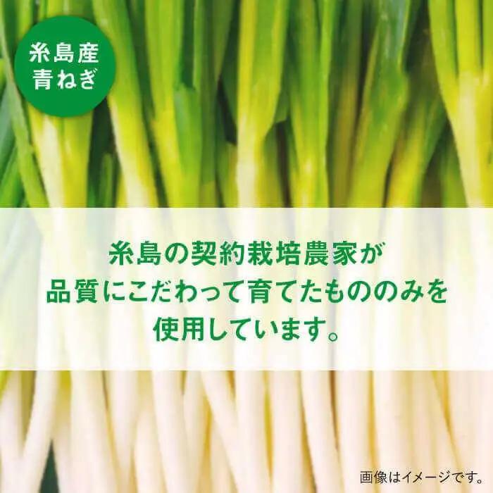 糸島 青ねぎ ゆず胡椒 110g×5本 セット 《糸島》 【山口食品工業株式会社】 [ABI001]